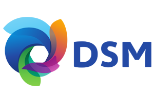 Logo DSM